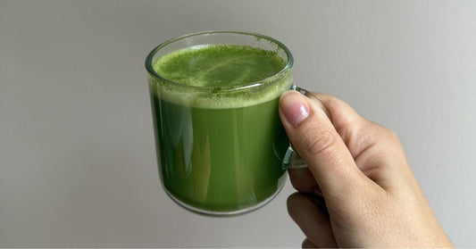Maison Matcha ceremonial grade matcha powder from Uji, Japan